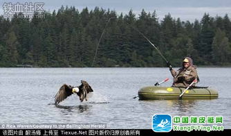 禿鷹突襲釣魚艇，男子荒野歷險記